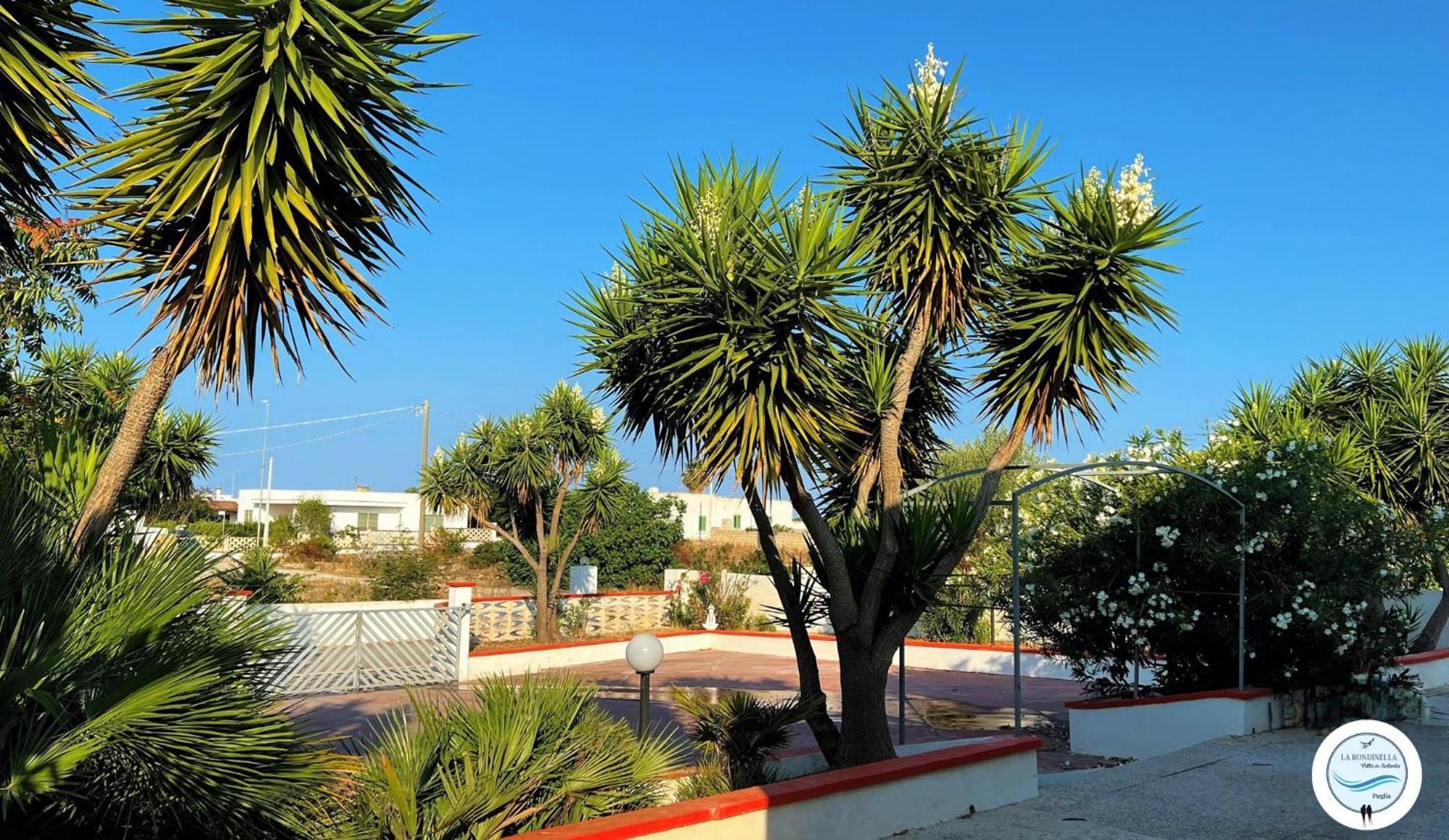 Villa La Rondinella - Torre San Giovanni Екстер'єр фото