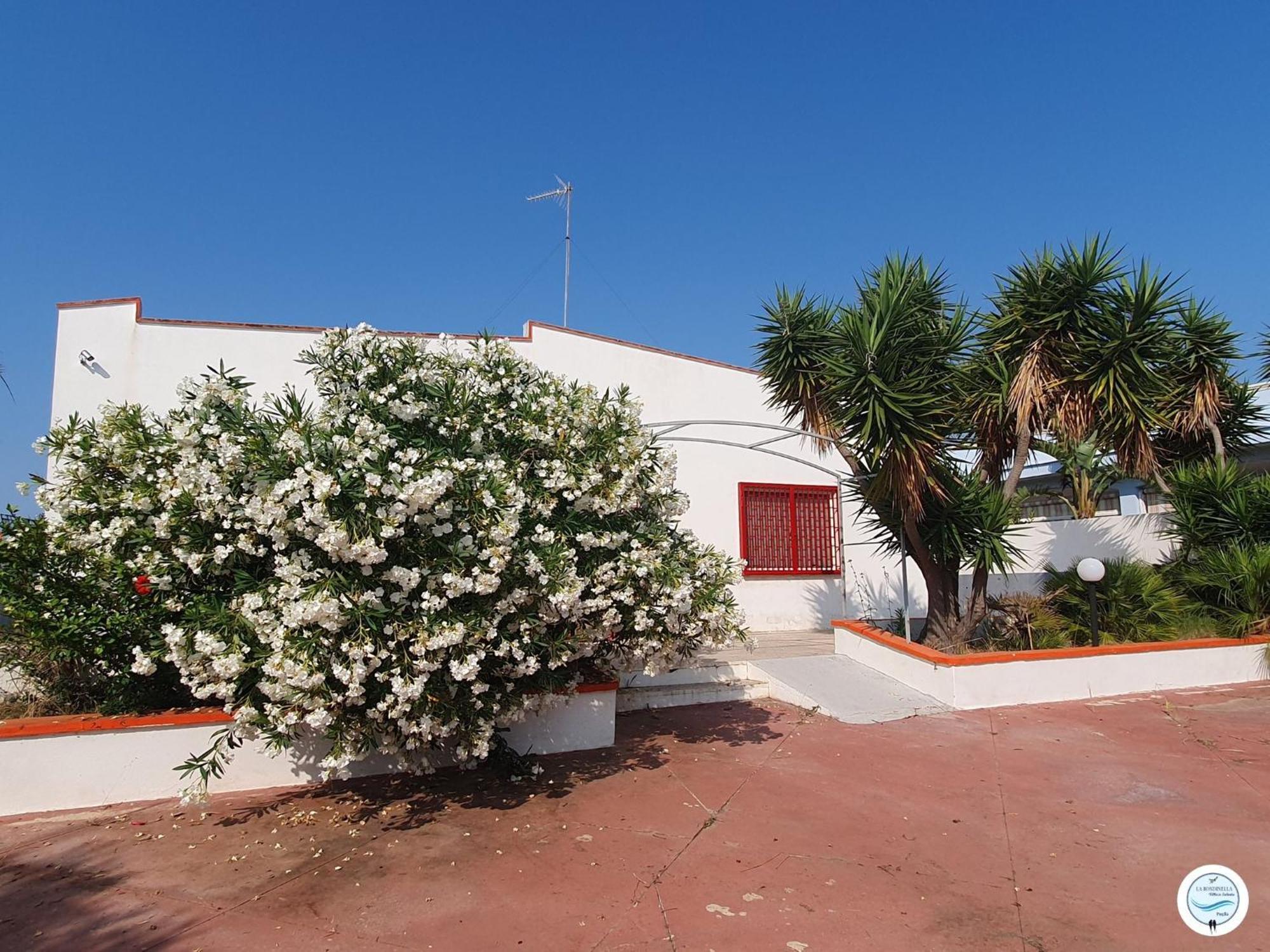 Villa La Rondinella - Torre San Giovanni Екстер'єр фото